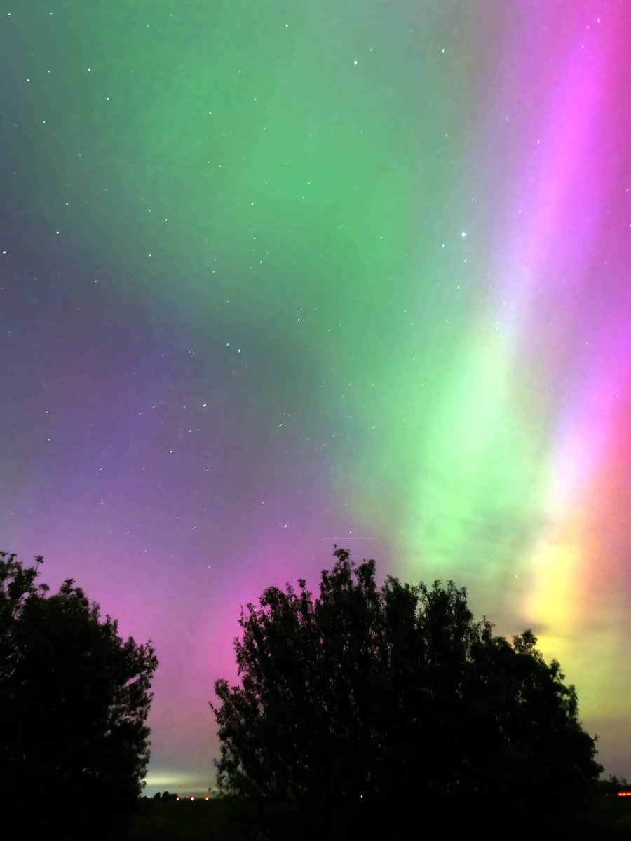 WildChurches tweet media