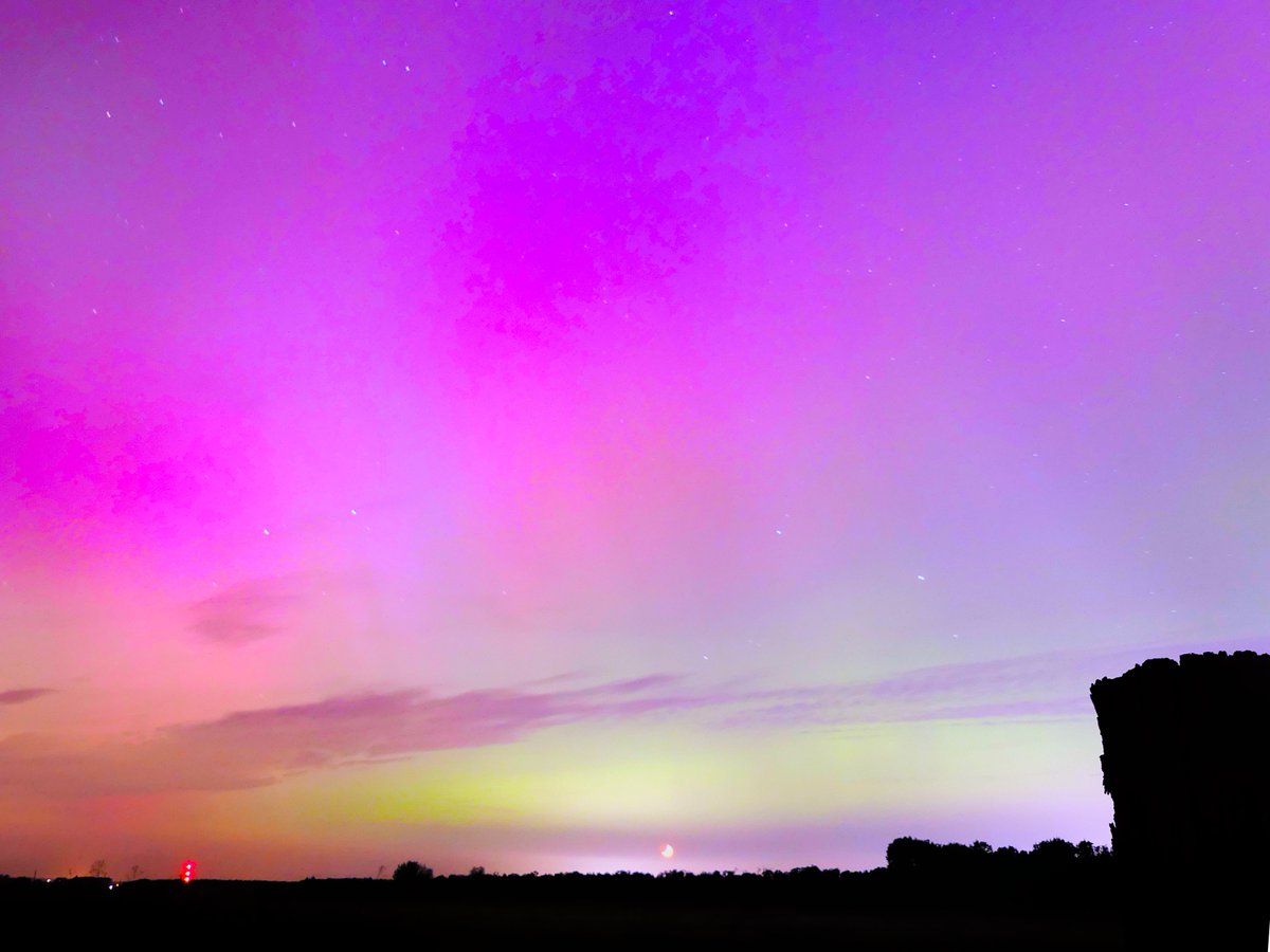 WildChurches tweet media