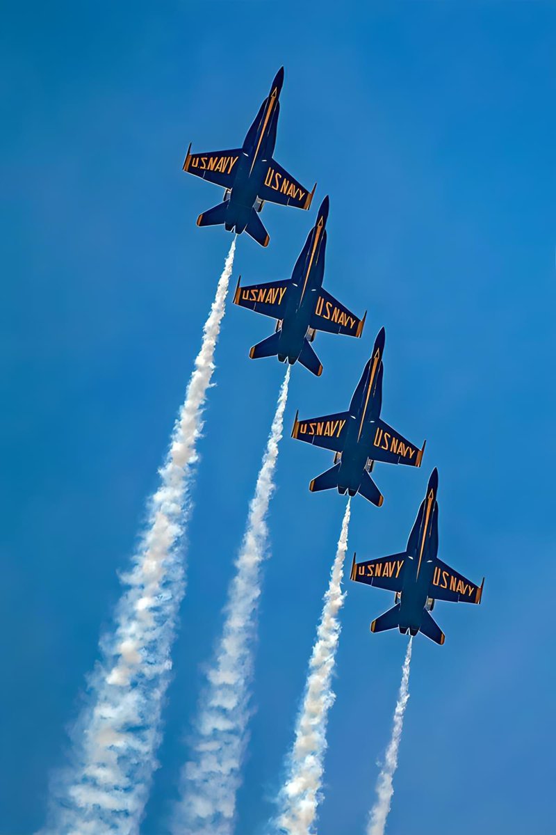 US Navy Blue Angels 🇺🇸 #BlueAngels #F18 #USnavy #navy #Fighterjet #aviation #airshow #aviationdaily