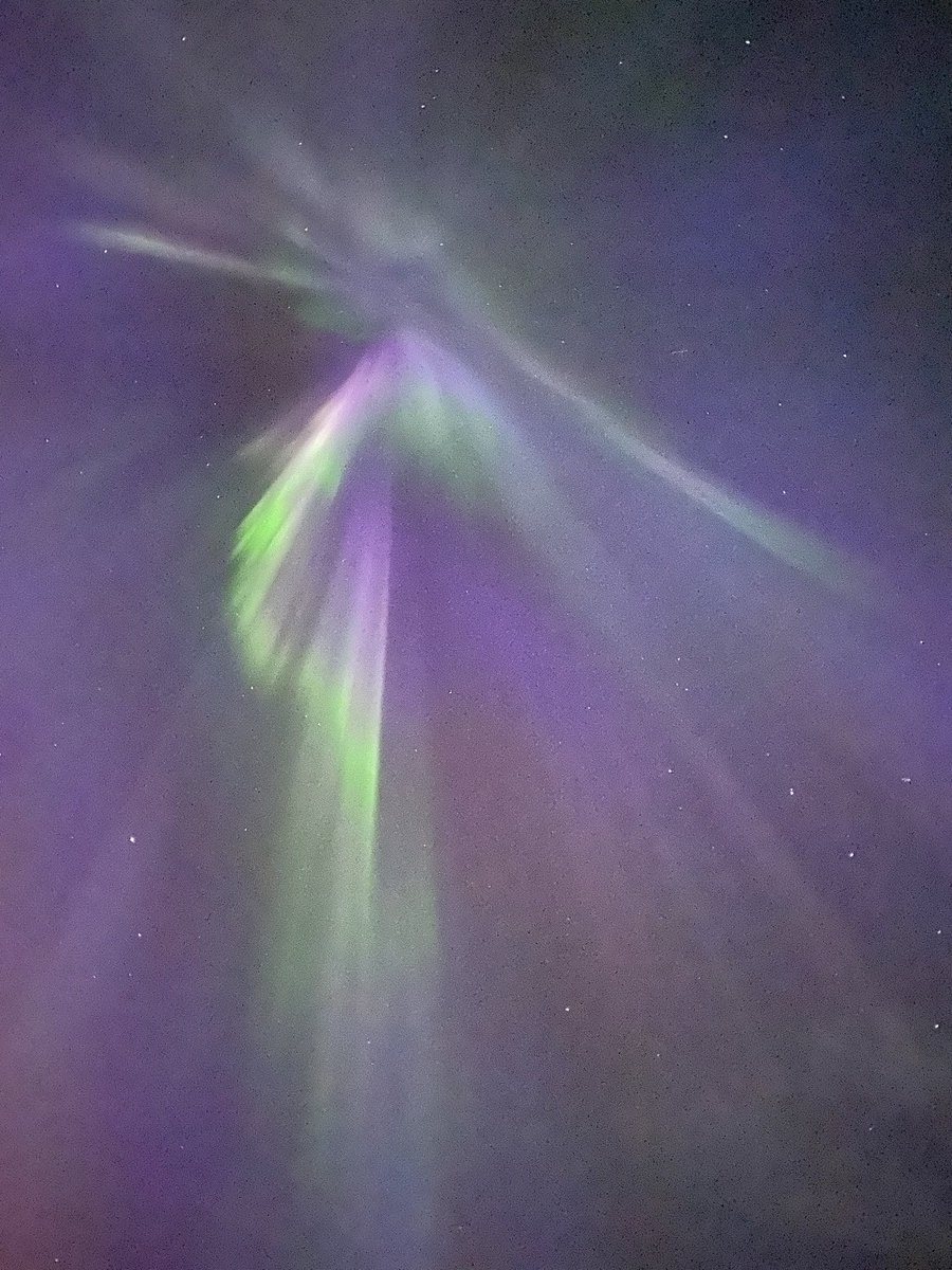 PrimroseRob's tweet image. #Auroraborealis 

Got a few pictures of the light show last night around 3 am. 
Unusual as they were in the west and south.