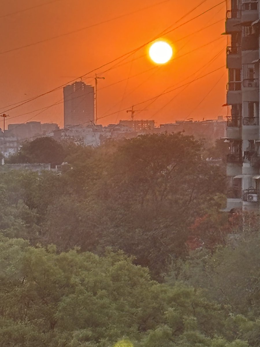 Meera Mehta tweet media