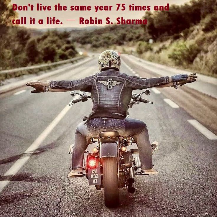 Live Free - Ride Free
#bikelife #harleydavidson #motorcycle #lifebehindbars #ftw #rideordie #riding #motorcycles #livefree #ridefree