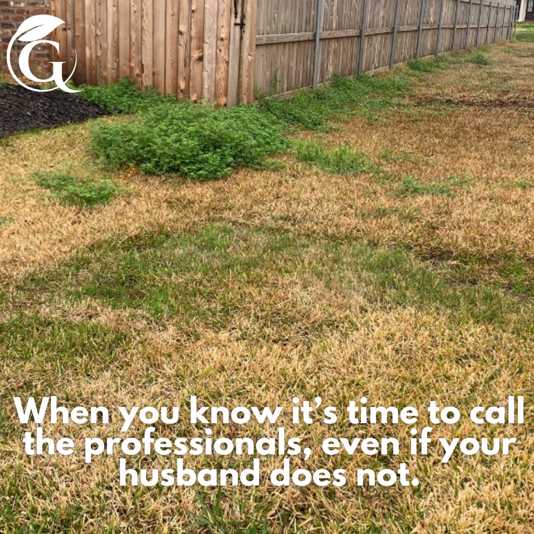 #GuardianLawnCare #lawncare #lawntreatments