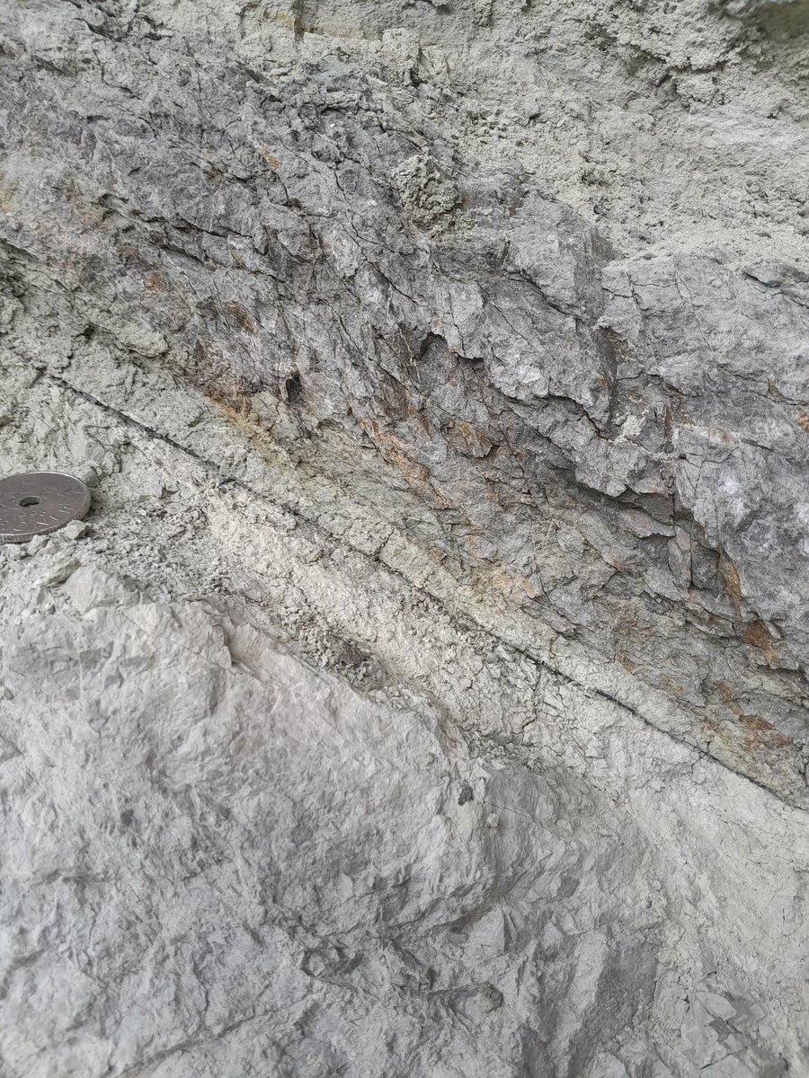 Sascha Zertani tweet media