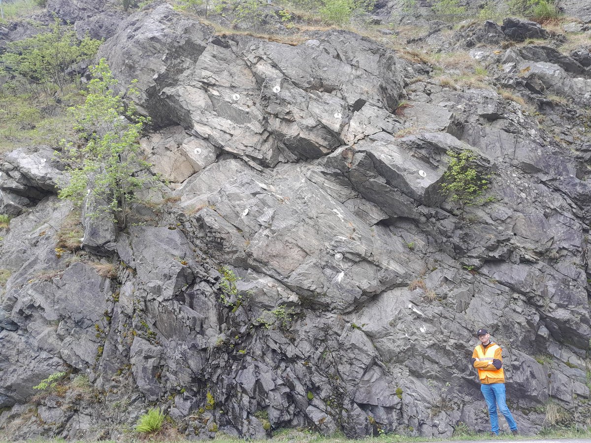 Sascha Zertani tweet media