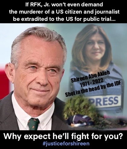 Please share:

On the anniversary of Shireen Abu Akleh's assassination, it's vital to remember her. And ALSO that @RobertKennedyJr REFUSED to call for the extradition of the Israeli soldier who m*rdered a US citizen and journalist. RIP Shireen - and NOT in our name. ✡️