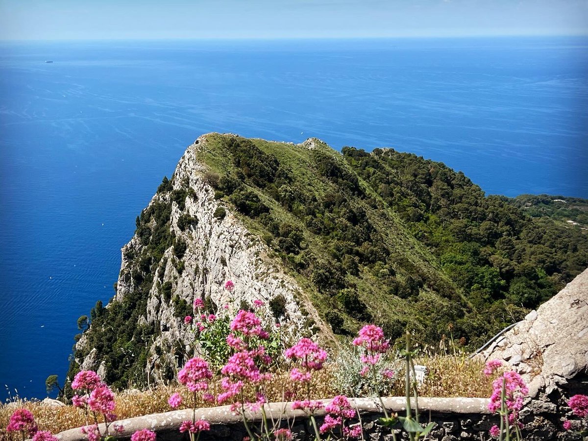 AmyJantzer's tweet photo. This chairlift in Capri was so specular. The view from the top was amazing! https://t.co/JA63zc7q6P