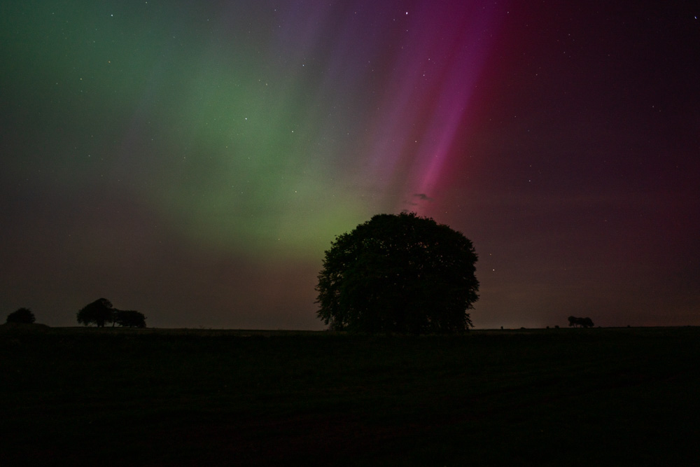 A few random photos from last night's aurora, taken from Salisbury Plain.