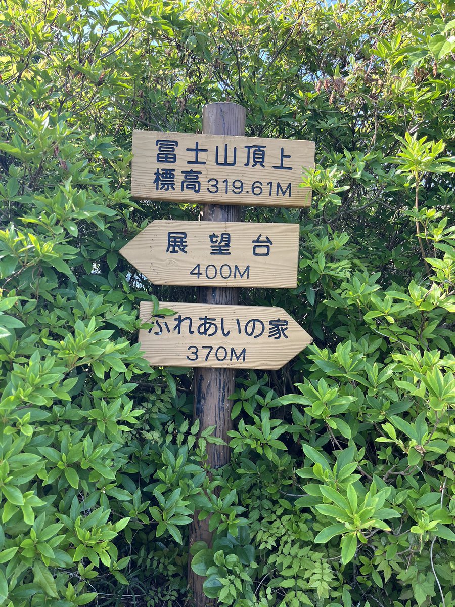 おいでよ愛媛 tweet media