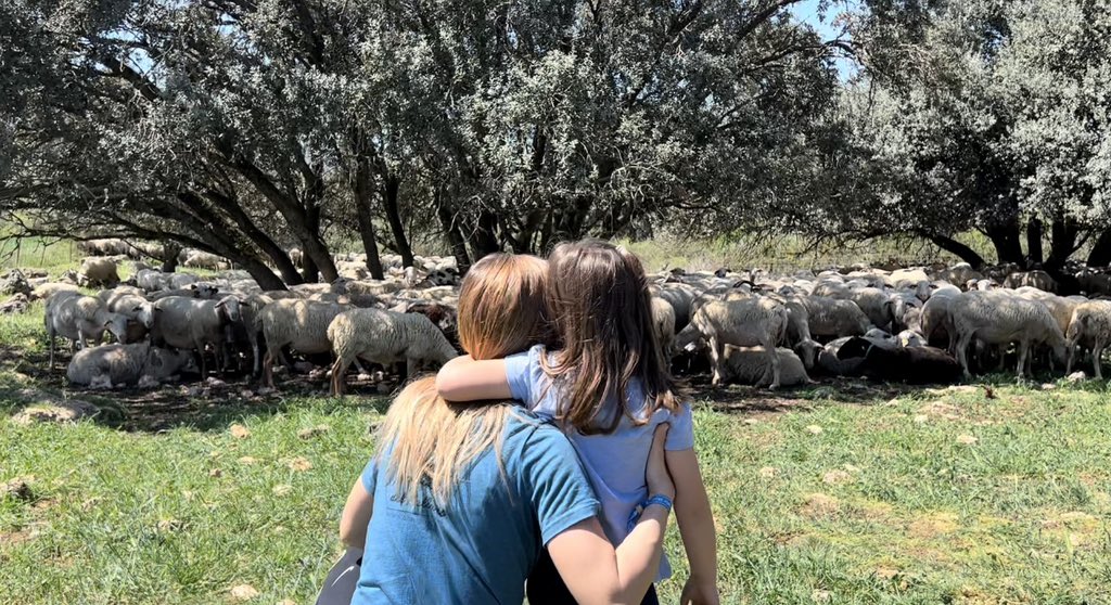 La millor manera de passar aquest dissabte de reflexió: família, casa, Pallars ❤️