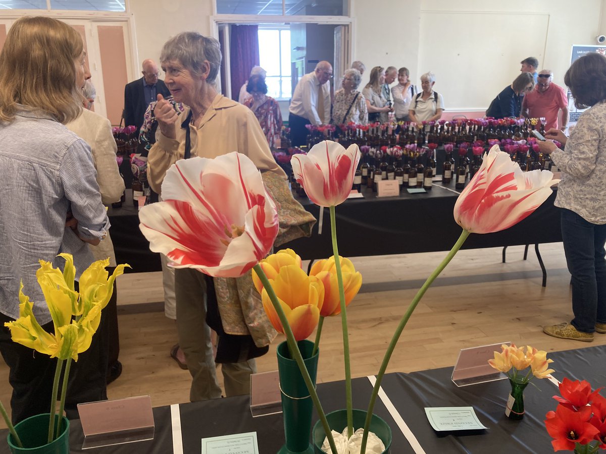 Oh yes! It’s the Wakefield and North of England Tulip Society show!