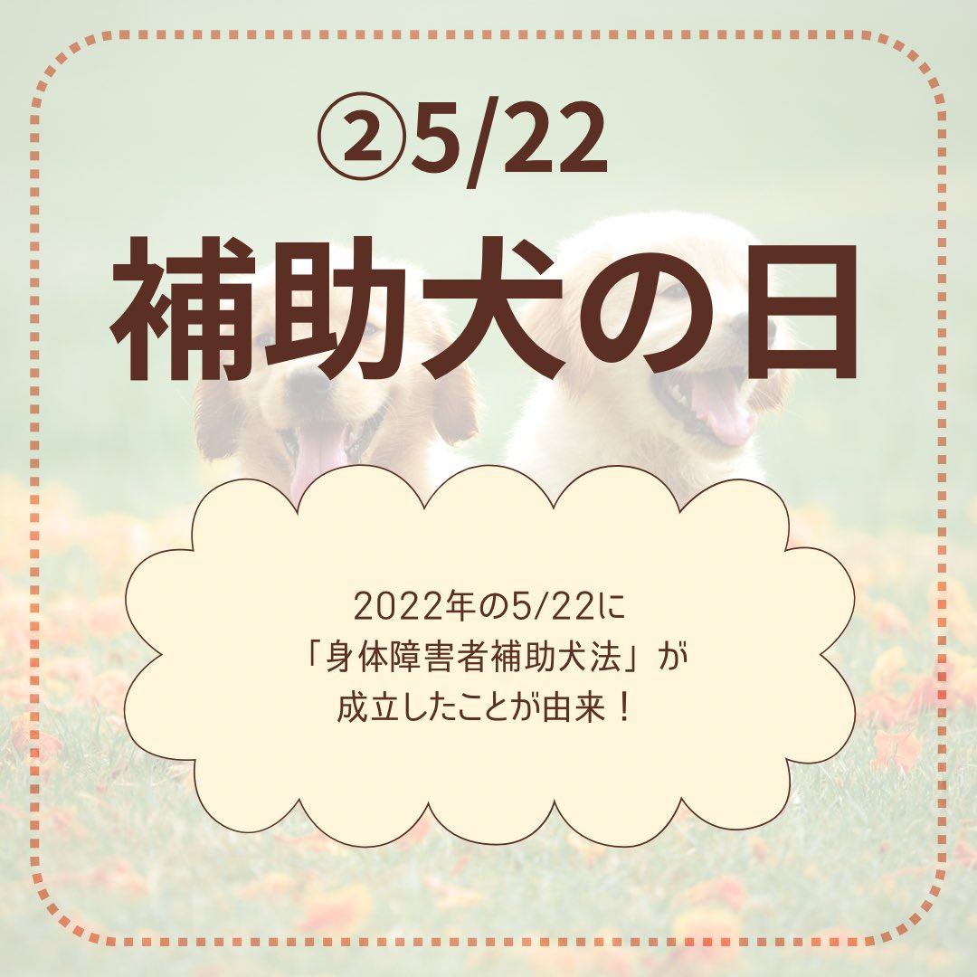 hadafine's tweet photo. 犬の記念日 https://t.co/4XmAn2z6XO