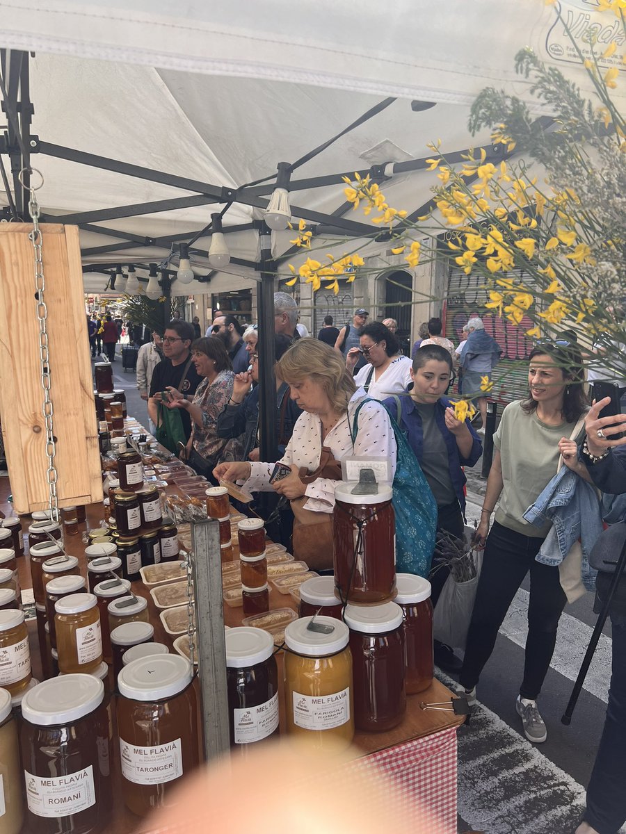 Mel, herbes i confitures! 

Amb la <a href="/natpage_/">Nat 🔻</a> i el <a href="/davidpeque0/">David Pequeño</a> hem passejat per la meravellosa fira de Sant Ponç al carrer Hospital. 

Que bonics estan els carrers i barris de Barcelona quan s’omplen de vida 🤩