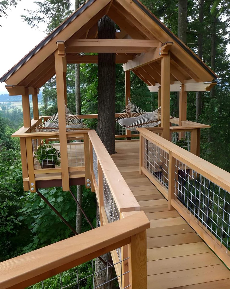 Treehouse with hammocks