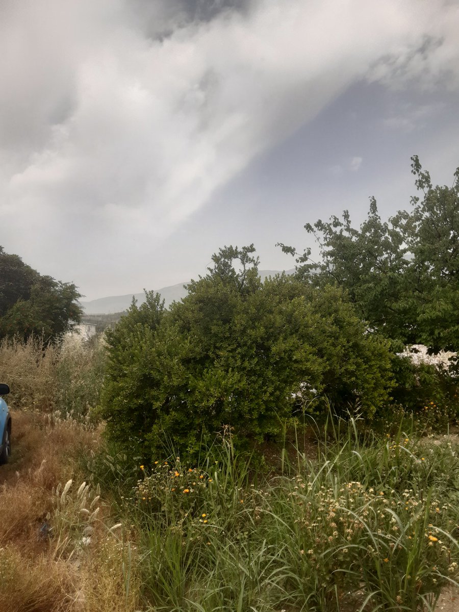 Bütün olumsuzluğa rağmen hep Karaali❤❤