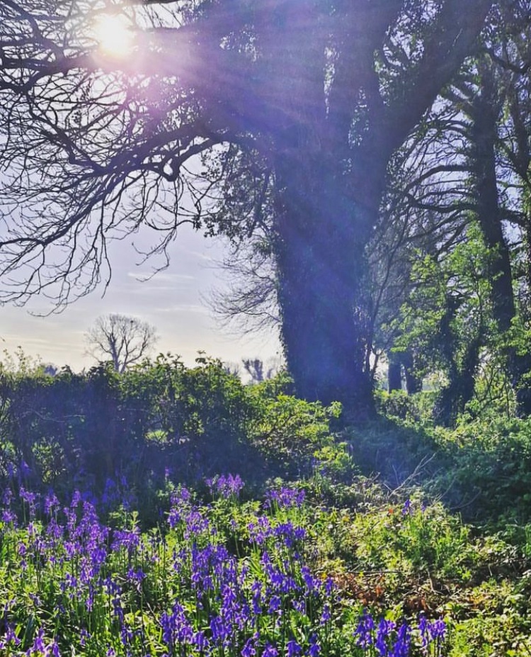 Beautiful Croghan County Offaly. #noplacelikehome