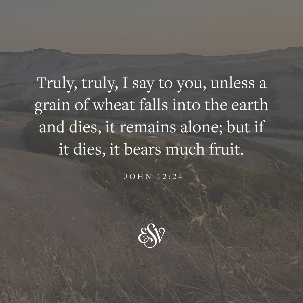 Truly, truly, I say to you, unless a grain of wheat falls into the earth and dies, it remains alone; but if it dies, it bears much fruit. 
—John 12:24 ESV.org

#Verseoftheday #ESV #Scripturememoryverse #Bible