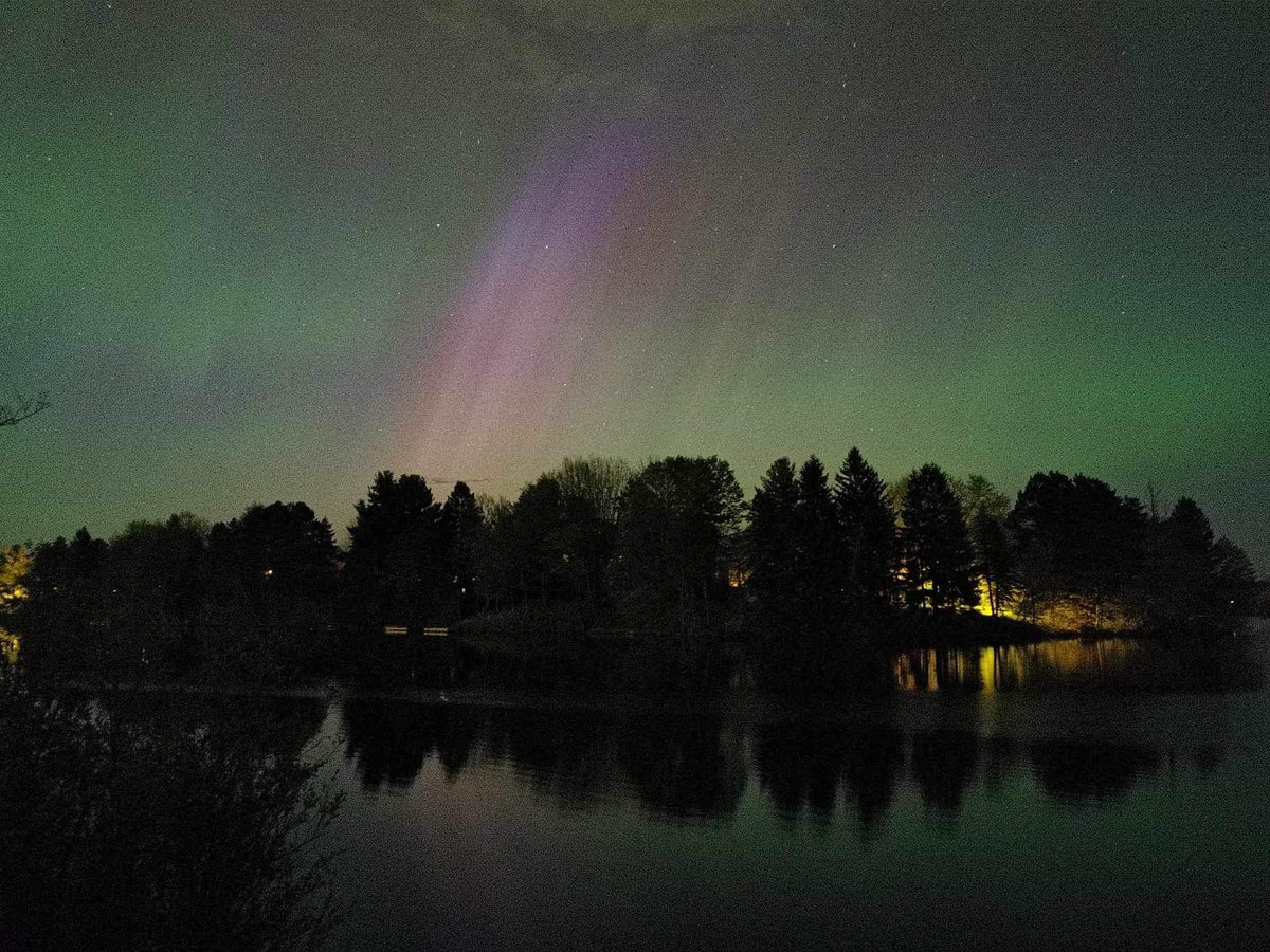 Agathe Lisé-Pronovost tweet media