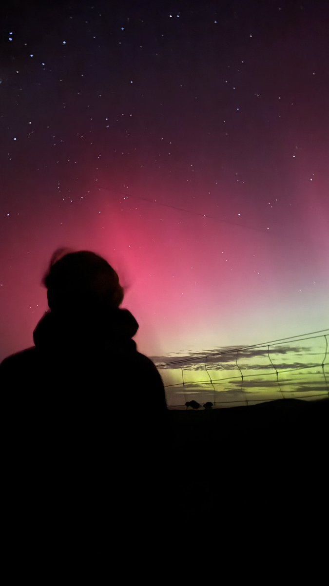 Eternity tweet media