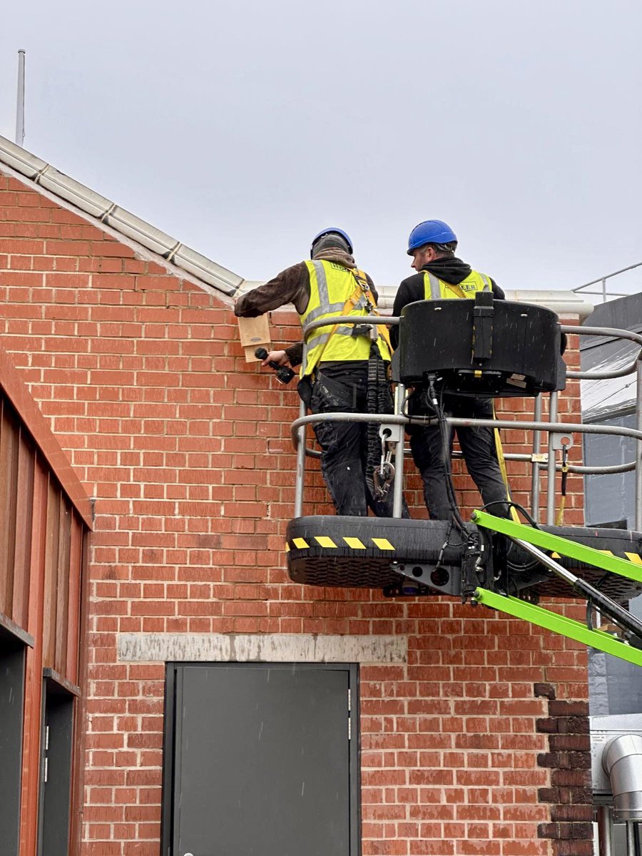 Considering the environment  - bat and bird boxes are being  installed to provide safe havens for the local wildlife.