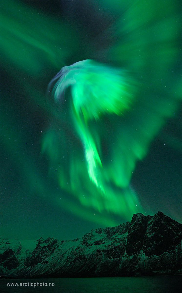 Eagle Aurora over Norway 🦅 CREDIT: B. Jørgensen