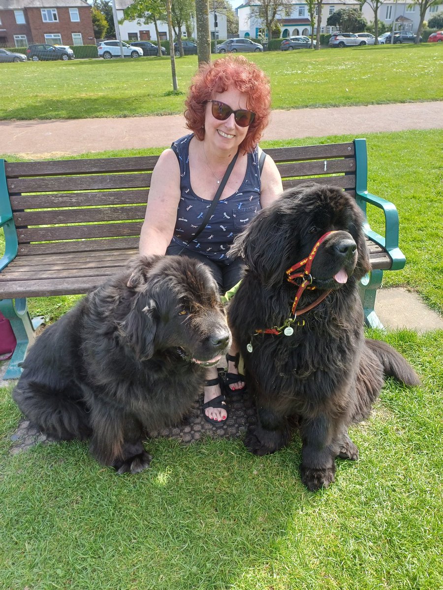 Lovely walk in the park with Auntie Julie (we love Auntie Julie 😍) 😁🐕🐕😁 #familytime #dogs #dogsoftwitter #dogsofx #victoriapark #widnes #Halton #cheshire