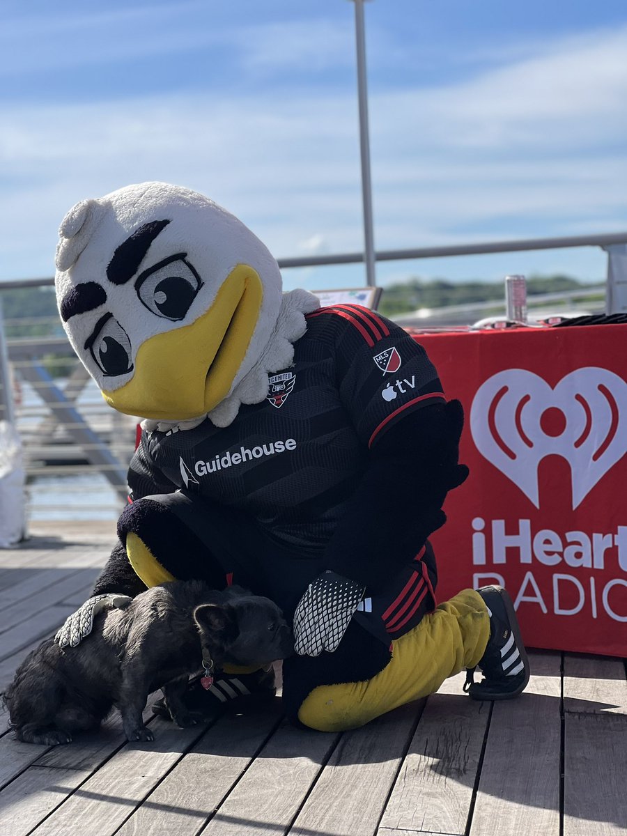hot995's tweet photo. ☀️Join @iHeartMedia in supporting @CureMelanoma ! 🌸 Let's run, walk, and dance our way towards melanoma awareness and a sun-safe future! ☀️ #iheart #MFMDC https://t.co/xnPqiluaqF