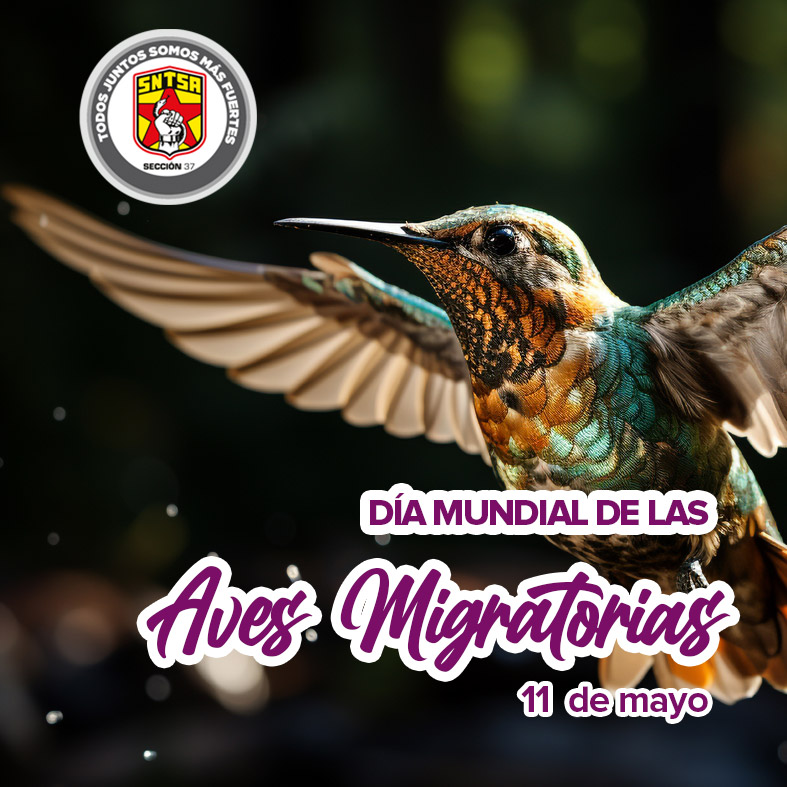 La campaña del Día Mundial de las Aves Migratorias 2024 busca promover la conservación mediante la reducción del uso de pesticidas y la promoción de la agricultura orgánica.