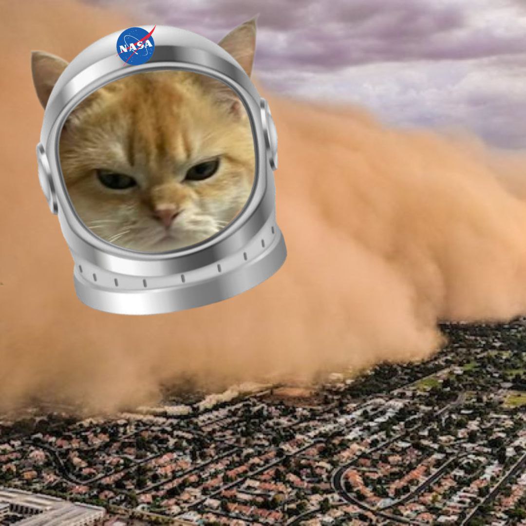 CrtptoGaia's tweet photo. @bcryptobee @SpaceCat_CTO @ElonMuskPDA @artsch00lreject @ProTheDoge @davis26_jack @saintoxyz @1goonrich #SPACECAT is unstoppable.

@davis26_jack
@saintoxyz
@1goonrich
#MEME 
#CAT 
#100X https://t.co/Ndg4xnJcgU