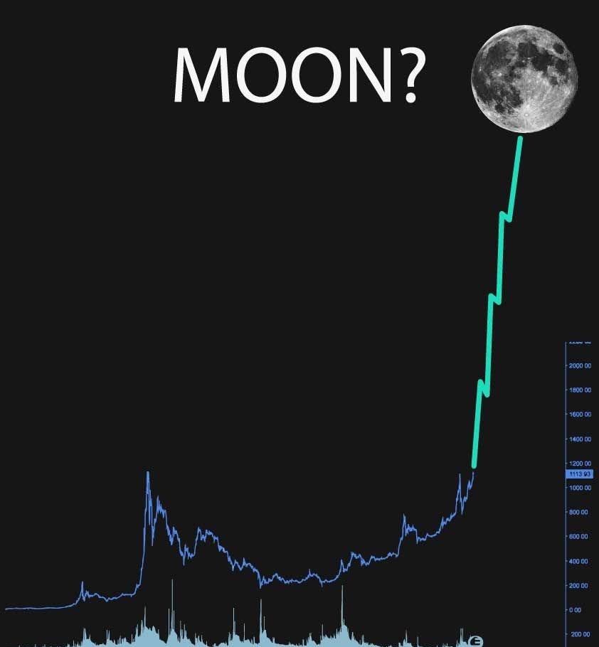The Samurai Legacy tweet media