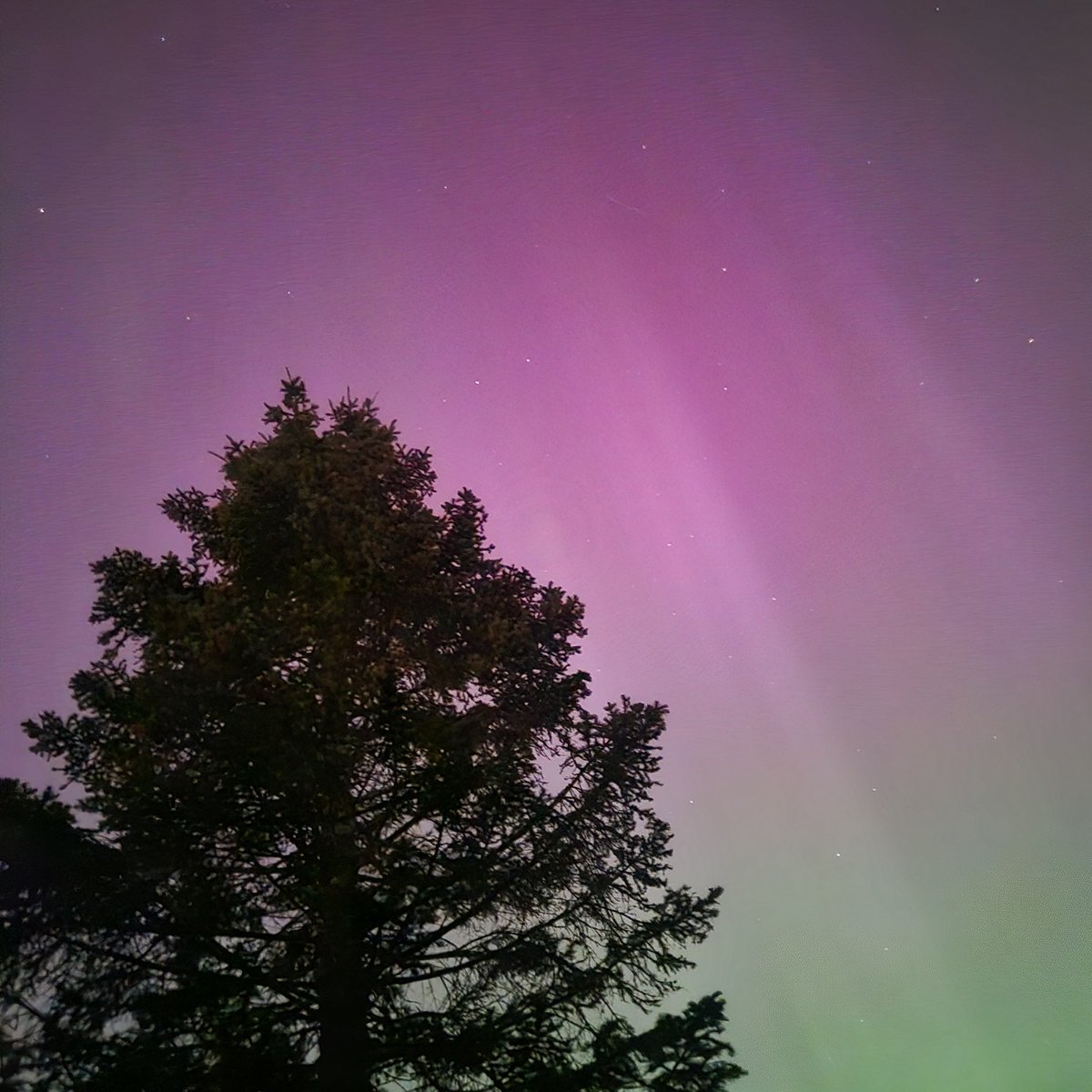vanessa5580's tweet photo. Once in a lifetime, spectacular, jaw dropping experience https://t.co/EK9kliSjjw