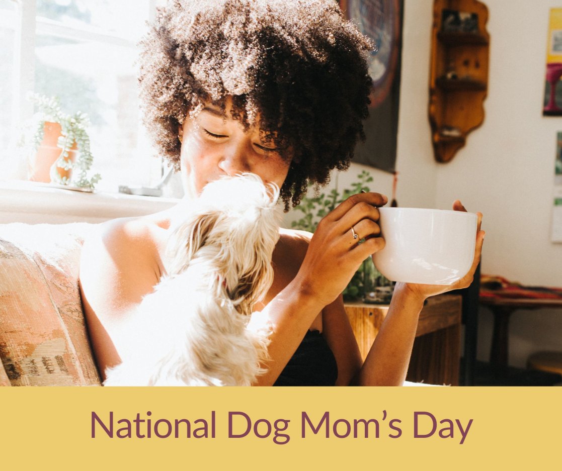 Cheers to all of the dog moms!! 🤩

#NationalDogMomsDay