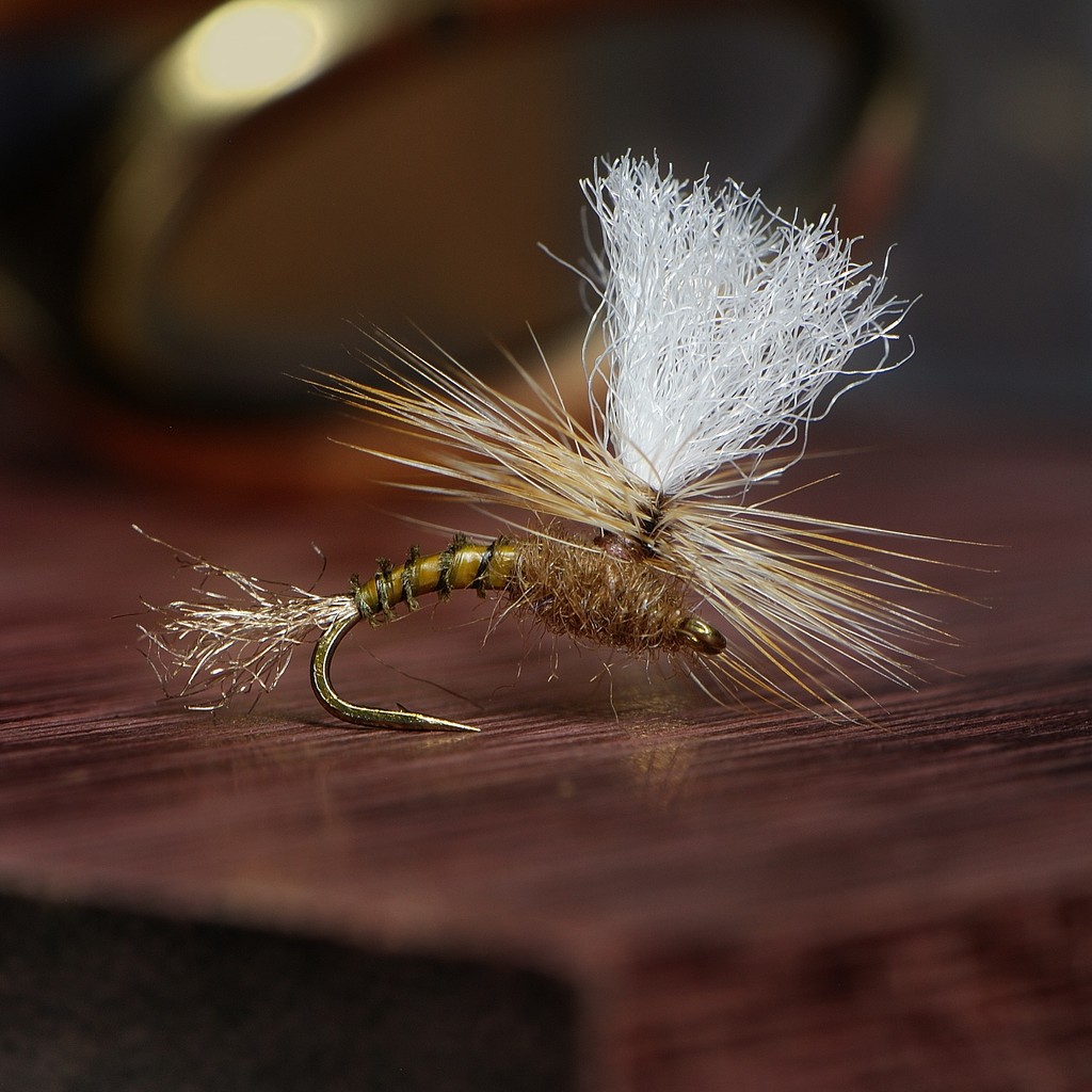 'Klinkhamer (Turkey Biot)' // tie and image by Freddy Block @freddysflyz . . . . #flytying #flytyingjunkie #flyfishing #flyfishingaddict #flyfish #flytyingnation #jstockard #fishing #atthevise #flytyingaddict #flytyingporn