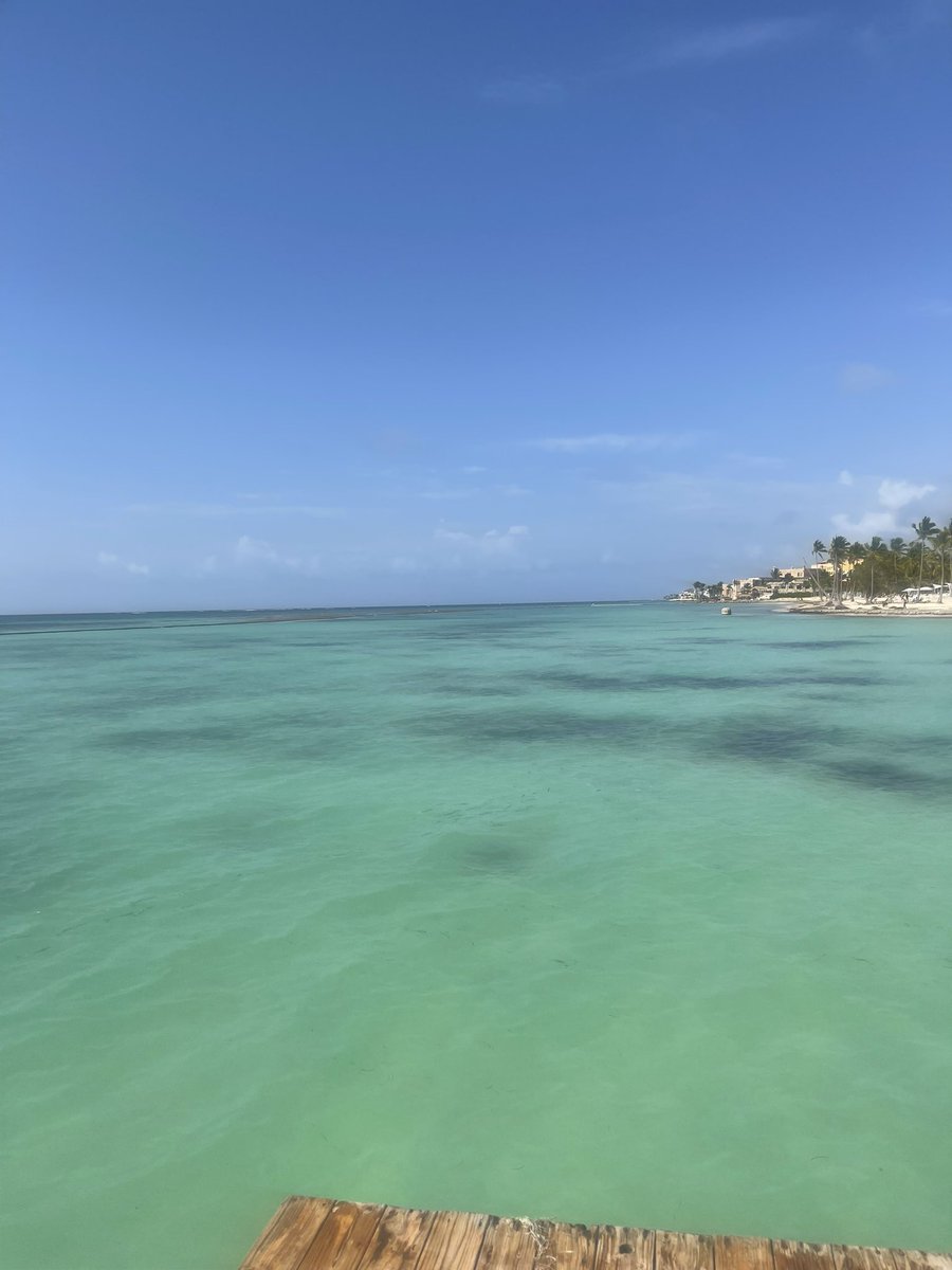 SteveH147's tweet photo. Stunning Dominican https://t.co/ls7mrEEX6e