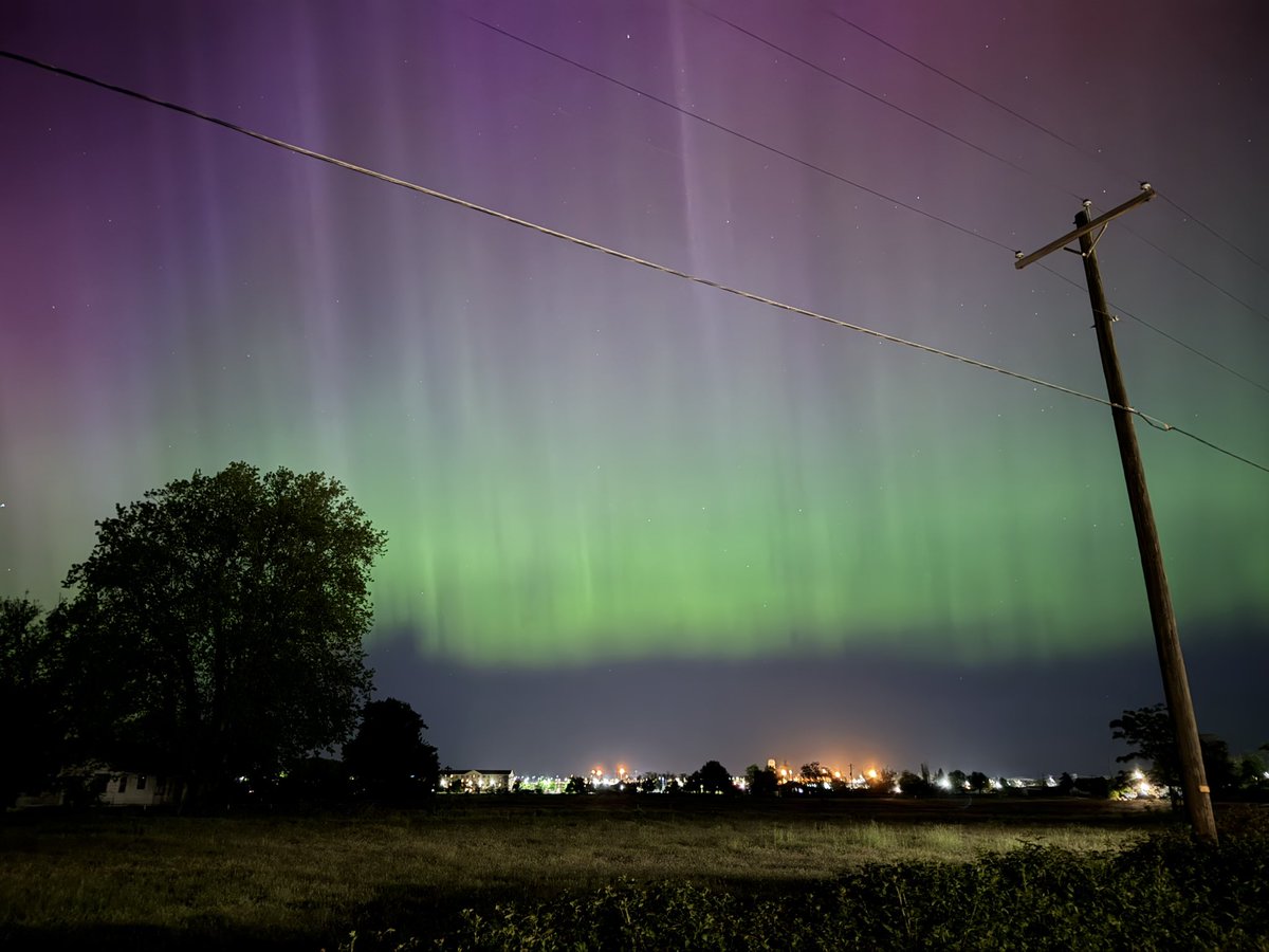 Dylan Larkin tweet media