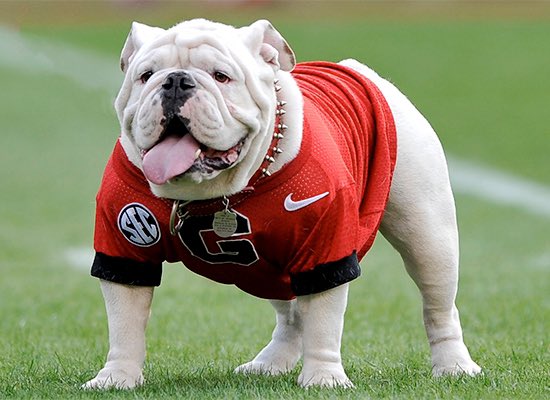 Who is the best mascot in college football 🤔