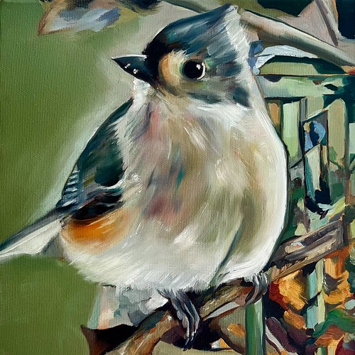'My Little Bird' is ready to take flight! Will he be taking off with you?
Annie Murray, My Little Bird, Oil on Canvas, 8'x8'
#localart #halifaxart #halifaxns #artgallery #artcollector #downtownhalifax #canadianart