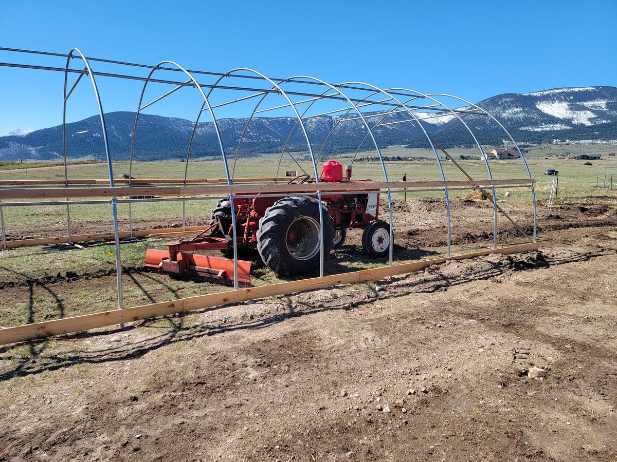 GreenDuckFarms's tweet photo. Was using the tractor to level out the uneven result of burrying the utility ditches.

Really glad we went with the 20ft wide plan.
The extra height and width over the 12ft wide plan are well worth it. 
#homestead #greenhouse #hoophouse https://t.co/7iOJJyO0eA