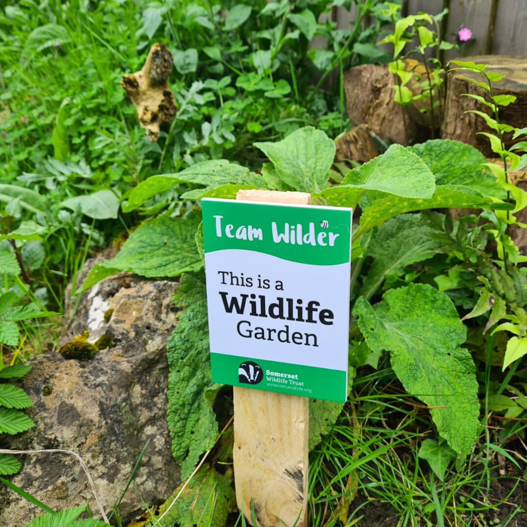 Is your garden a haven for wildlife? 🐝 Earn yourself one of our gardening plaques to show your friends and neighbours the benefits of letting your outdoor space get a little bit wild! Fill in our survey to claim your plaque: uk.surveymonkey.com/r/YCSSWVG #Somerset #WildlifeGardening