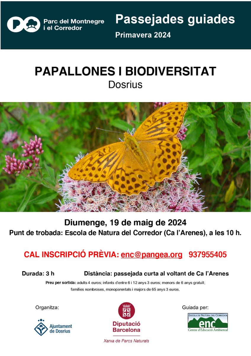 Nova passejada guiada pel Parc del Montnegre i el Corredor 🌳 'Papallones i biodiversitat' a #Dosrius 🦋 📅 Diumenge, 19 de maig 📍 A les 10 h a l'Escola Natura del Corredor