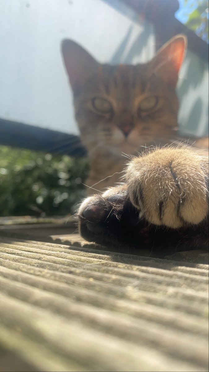 Naofel___'s tweet photo. Le soleil lui va si bien https://t.co/wtKv3QEM6Q