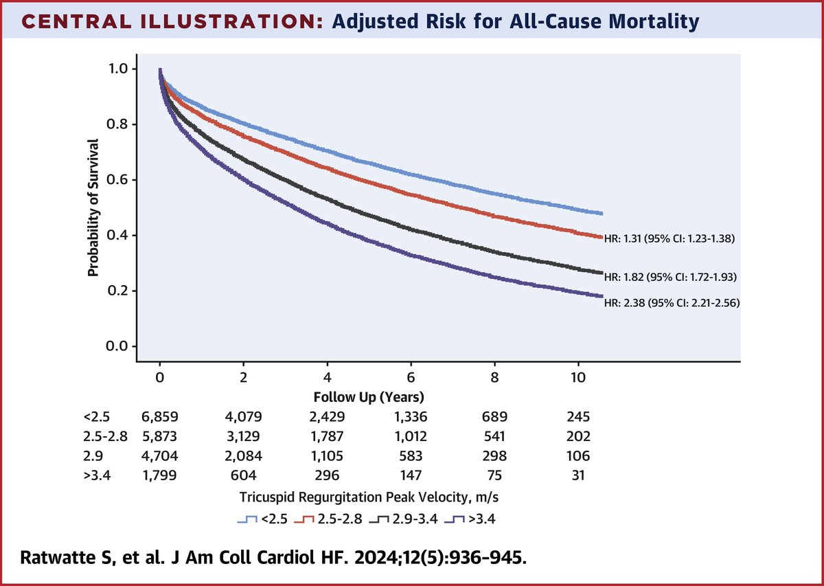 Increased PA pressures, as determined by increased peak tricuspid regurgitant velocities on echocardiography, are associated with higher mortality in patients with reduced LVEF.

Read more: bit.ly/4bpRsdL #JACCHF