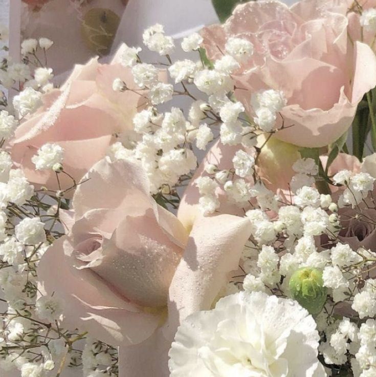 linocaspace's tweet image. ⌕ intro search : #studytwt . . . &amp;lt;3

   — lina ; 05 | ela/ele 🇧🇷🇹🇭
   — licenciatura em letras 
   — técnica em marketing 
   — aprendendo tailandês 
   
  ★ filmes, chá gelado﹠ livros.

 ♡/↺ = mutuals!
#collegetwt #studytwtbr #langtwt #lifetwt