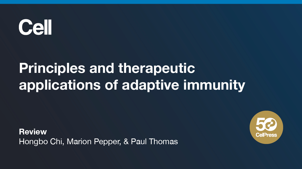 Featured content from our anniversary focus issue on #Immunology: 'Principles and therapeutic applications of adaptive immunity' Read the review: cell.com/cell/fulltext/… @hongbo_chi @PGTimmune @StJude, Marion Pepper @UW #50YearsofCell