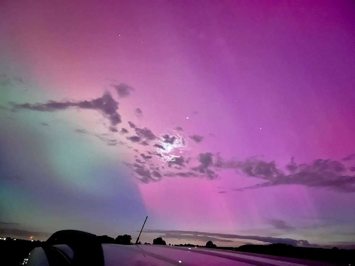 White Squirrel tweet media