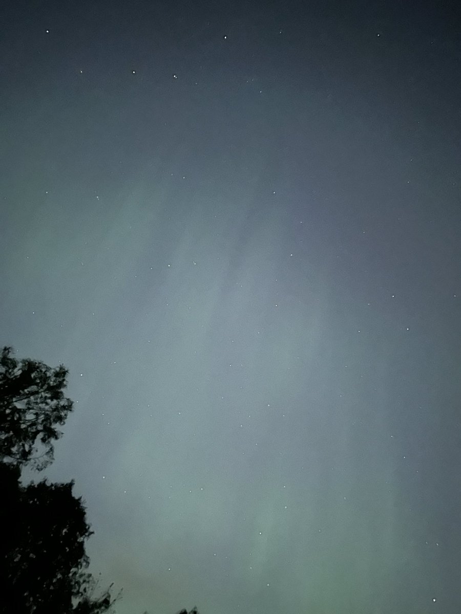 gauravrai27's tweet image. Caught light glimpse of Northern light yesterday ✨