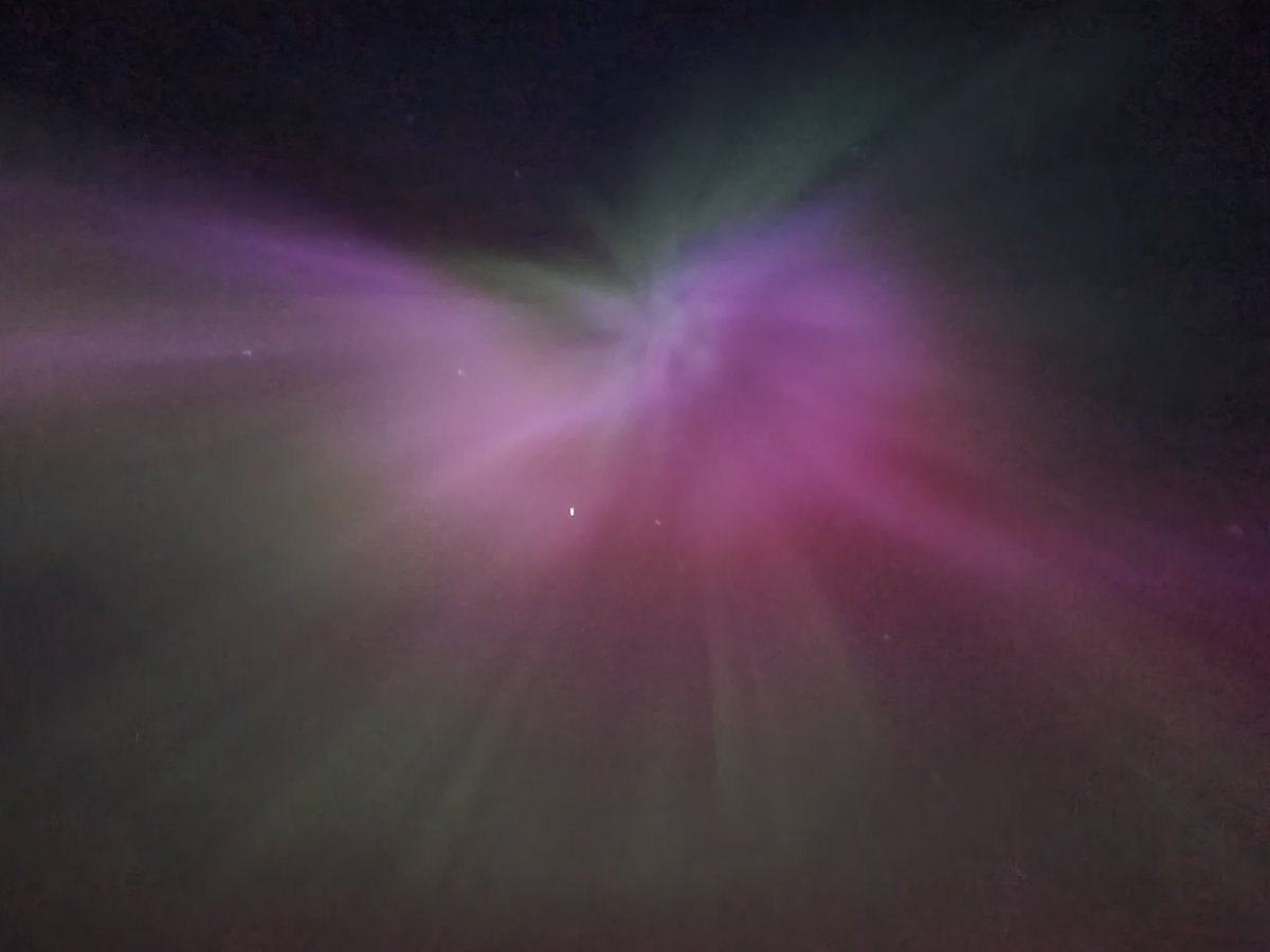 Leanne Walker tweet media