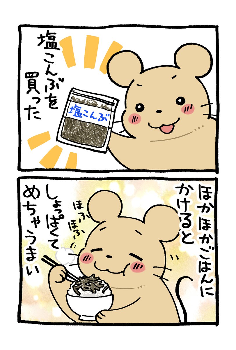 塩こんぶを買った日記🐹　#エッセイ漫画