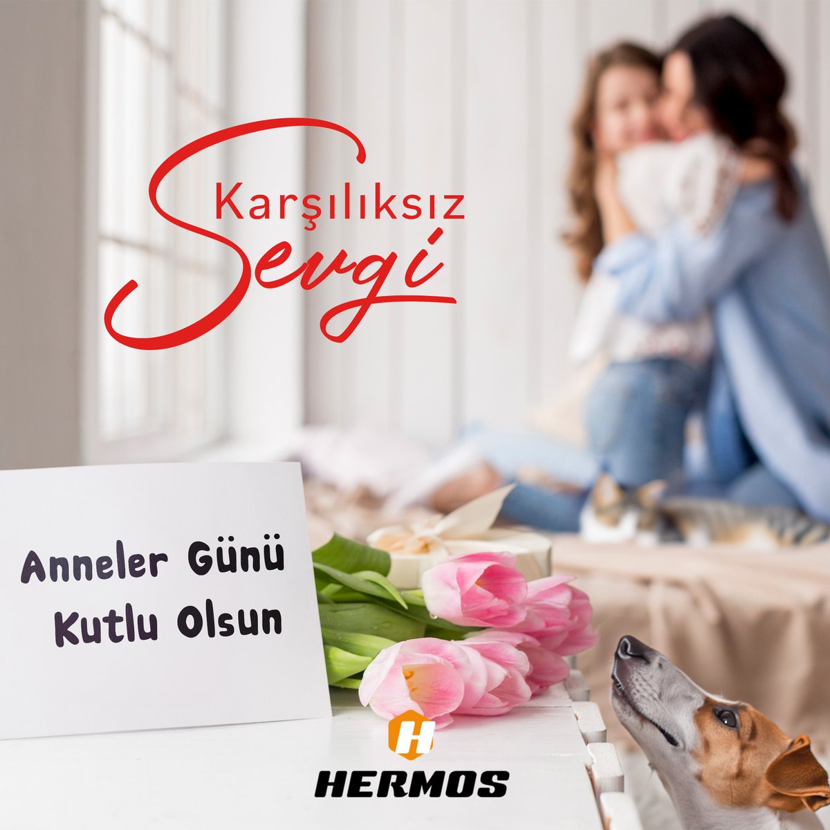 Karşılıksız Sevginin En Saf Hali!
💐
Annelerimiz, hayatımızın her anında bizimle olan,
koşulsuz sevgileriyle kalplerimizi ısıtan, fedakarlıklarıyla
yolumuzu aydınlatan yıldızlarımız.
🩷
Her günümüzü aydınlatan annelerimize sonsuz
teşekkürler...

#hermospet #annelergünü