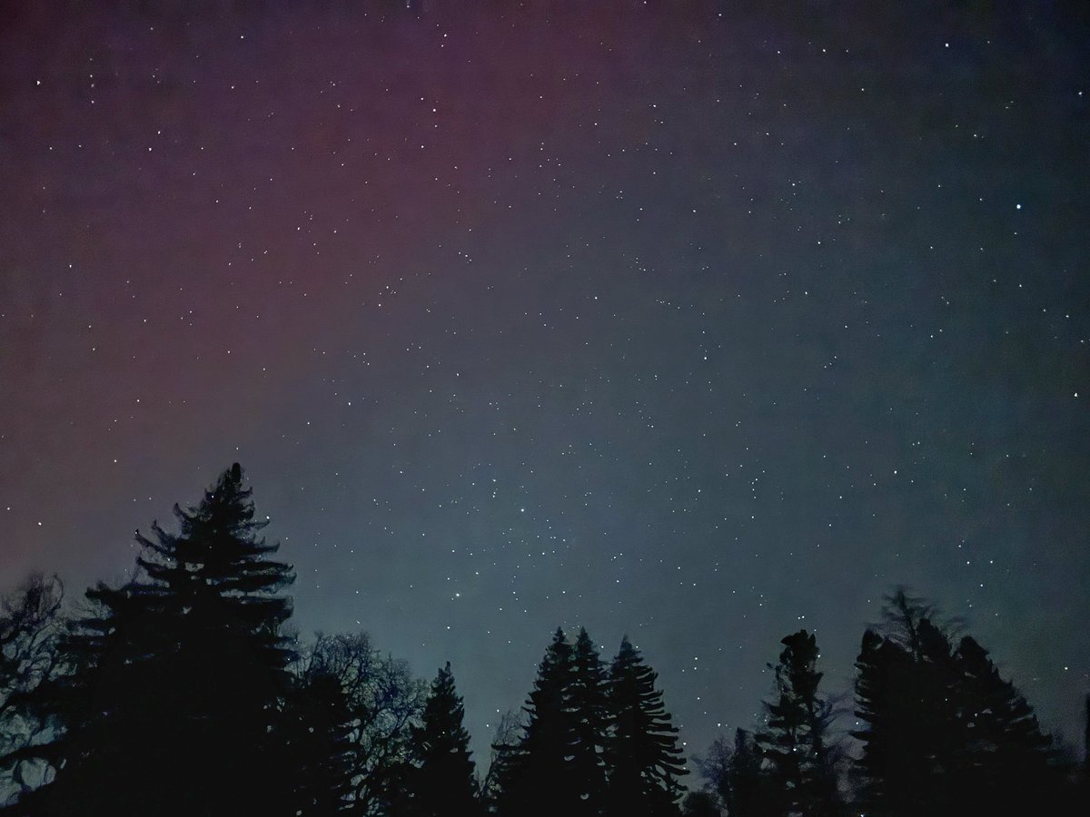 NativeSantaCruz's tweet photo. 12:30am 05/11/24. After watching the Aurora Borealis slowly improve during the night, I headed out for a better vantage point and took these towards the top of Alba Rd. in the Santa Cruz Mountains. Northern Lights over a redwood forest, who could have imagined! https://t.co/y7o0TjboEJ
